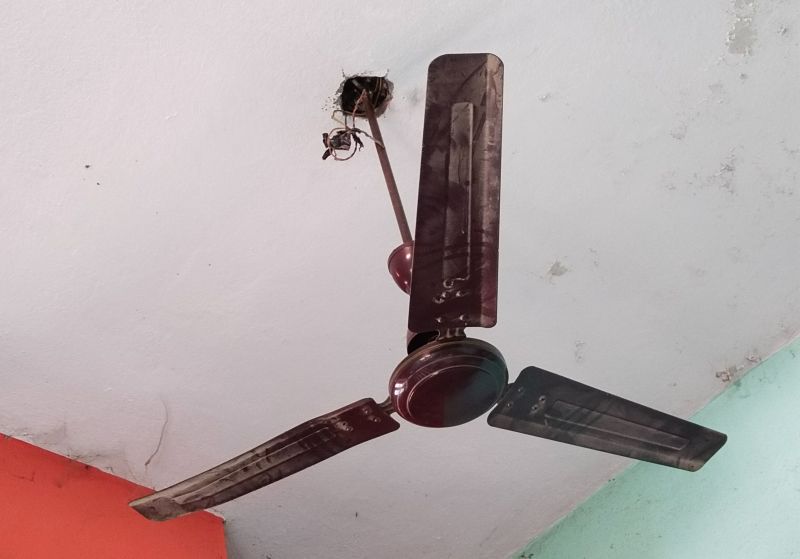 Ceiling Fan Service in Denver County, CO