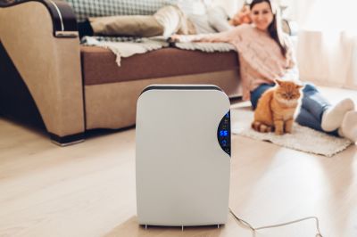 Dehumidifier Repair in Annapolis, MD
